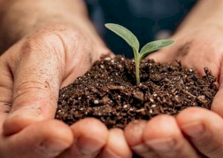 Fertilizantes: guerra entre Israel e Irã preocupa o agro nacional