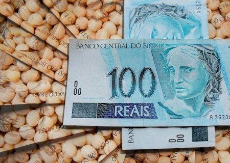 Soja: mercado apreensivo pelos números do USDA; veja as cotações