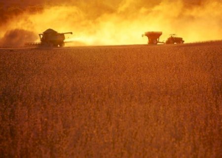 Safra 'de outro mundo'? O que fez um estado brasileiro bater o recorde de produtividade de soja em 30 anos