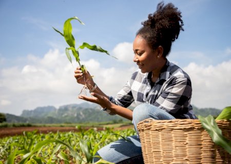 Comissão aprova programa de incentivo ao empreendedorismo rural feminino