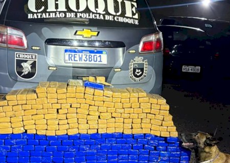 Guarda-roupa era usado para armazenar R$ 700 mil em maconha