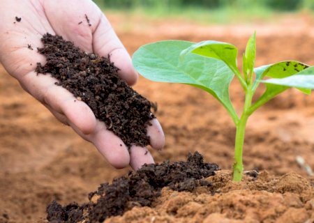 FPA derruba vetos à Lei do Autocontrole e garante uso de bioinsumos produzidos na própria propriedade rural