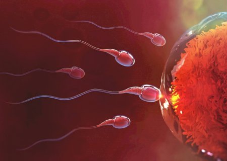 Infertilidade masculina: como o esperma produzido em laboratório pode transformar tratamento