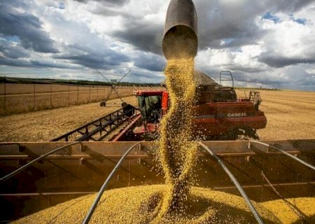 Estiagem de janeiro e fevereiro derrubou produtividade da soja em MS