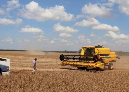 PIB de Mato Grosso do Sul deve crescer 5,5% em 2025, puxado pela agropecuária