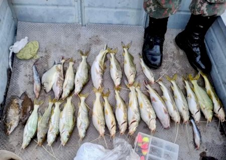 Pescadores profissional e amadores são presos por pesca ilegal no Rio Pardo, em Bataguassu