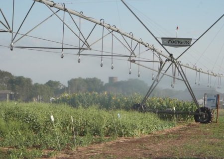 Vitrines Tecnológicas do Pantanal Tech MS trazem inovação a serviço da sustentabilidade no bioma