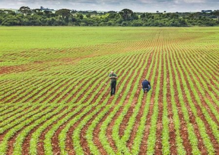 Guerra entre Irã e Israel: é hora de comprar fertilizantes?