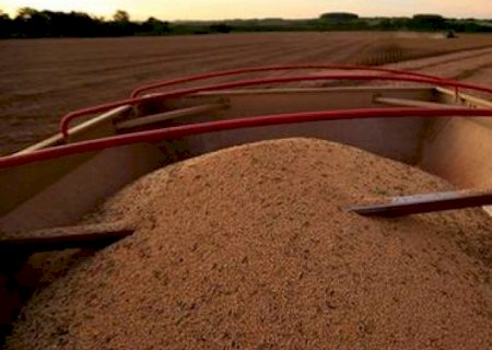 Preços de soja e milho recuam em Chicago à espera de projeções do USDA