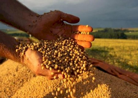 Produção de soja atinge novo patamar e lidera safra; estimativa para grãos sobe 14% em 2025