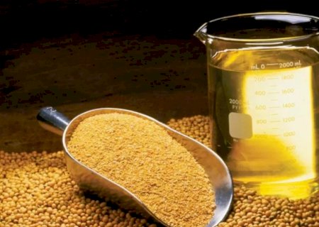 Exportações de soja avançam e tendência de recorde se confirma