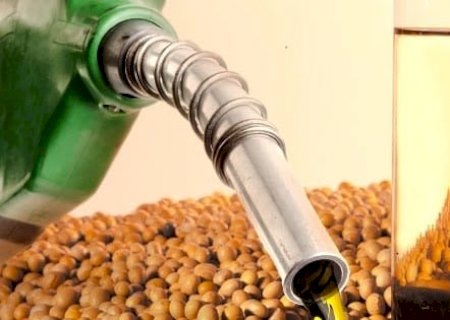 Governo amplia mistura de biodiesel e prevê mais demanda por óleo de soja