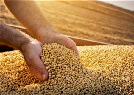 Produtores de soja 'seguram' estoques em busca de melhores preços; como foi a semana no mercado?