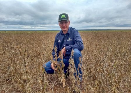 85% dos produtores de soja e milho cumprem exigências para crédito rural