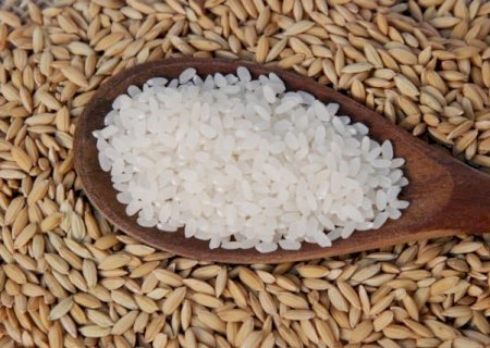 Arroz sofre queda nos preços frente à baixa liquidez