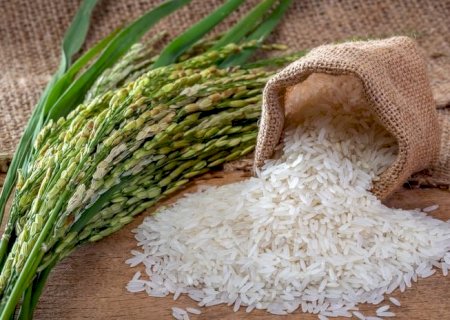 Tarifa de Trump pode causar perdas de R$ 138 milhões ao arroz brasileiro