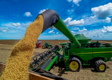 Soja: Brasil registra estabilidade enquanto cotações externas caem
