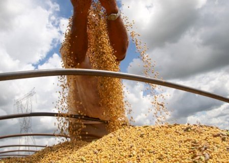 USDA reduz números de soja nos EUA e Brasil em 'modo turbo' na comercialização