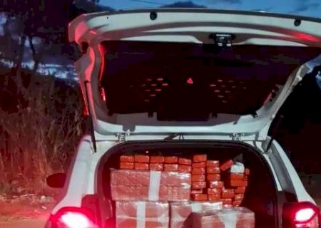 Reintegração de posse revela depósito de maconha em residência na Capital