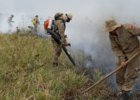 Com mais chuvas e baixas temperaturas, 1º semestre deste ano teve redução de 92,8% da área queimada no Pantanal