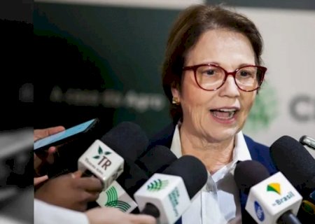 Tereza Cristina rebate comentário do ministro Fávaro:
