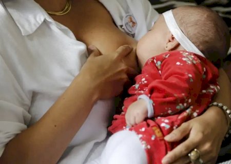 Infância em pauta: MS reúne especialistas para elevar a qualidade do cuidado pediátrico