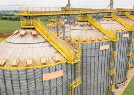 “Maior safra da história': Falta de armazém para 124 mi de t de grãos