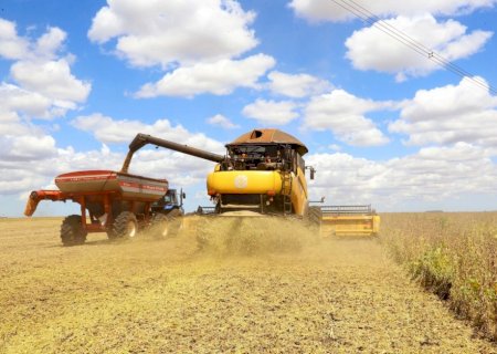 Paraguai deve colher 15,2 milhões de toneladas de grãos na safra 2024/25