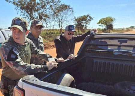 Batayporã: Departamento de Meio Ambiente e Polícia Militar Ambiental resgatam tamanduá-bandeira ferido