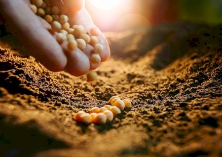 Semana decisiva para o agro e para a soja com possíveis tarifas dos EUA