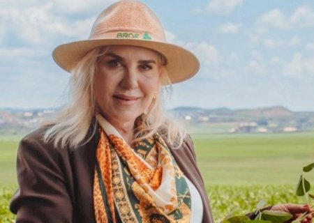 ‘É um Plano Safra dúbio, com apenas metade do valor com crédito subsidiado'