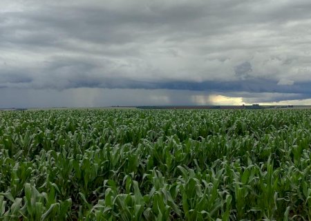 Sem El Niño e La Niña, produtores de MS enfrentam desafio no planejamento das atividades agrícolas