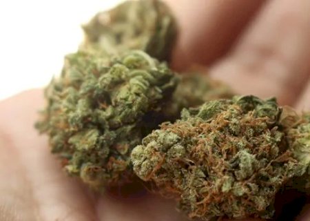Maracaju: jovem é preso com mais de 4 quilos de maconha em ônibus