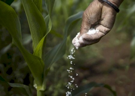 Mercado internacional sustenta preços e eleva custos de fertilizantes | Brasilagro