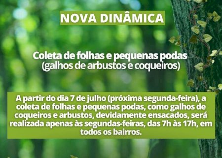 Comunicado: nova dinâmica para coleta de folhas e pequenas podas a partir de 7 de julho em Batayporã