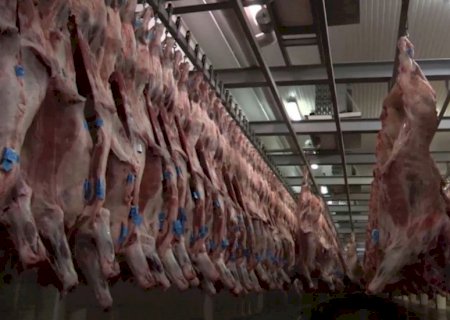 Com tarifaço, exportadores de carne bovina dizem que carga tributária ultrapassará 76%