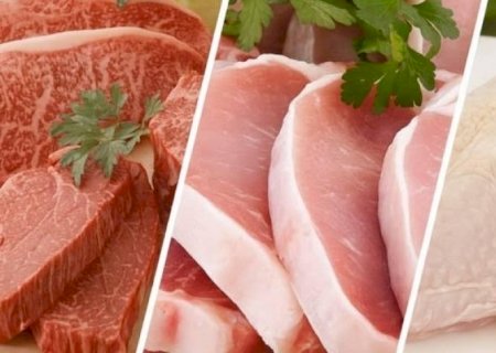 Exportações do complexo carne brasileiro somam US$ 2,2 bilhões em junho | Brasilagro