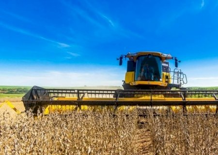 EUA acusam Brasil de práticas ilegais na produção agropecuária e florestal