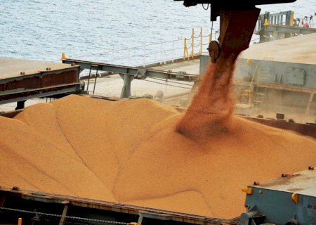 Embarques de soja devem chegar a 8,9 milhões de t em agosto