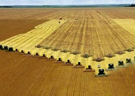 Valor da produção agropecuária será de US$ 1,48 trilhão em 2025