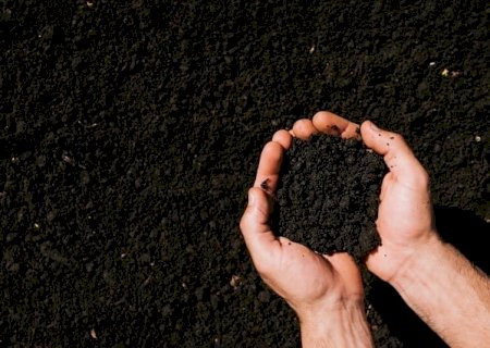 Sanções da Otan contra Rússia podem elevar custo de fertilizantes no Brasil