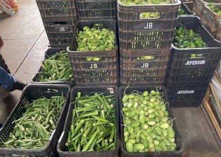Mamão, quiabo, batata: saiba o que ficou mais barato na última semana de julho na Ceasa-MS