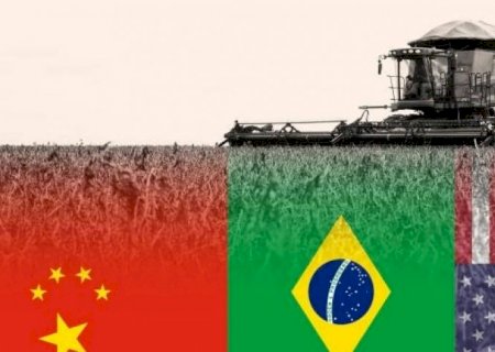 China admite ampliar compra de soja dos EUA e liga alerta no Brasil