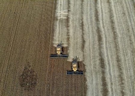 Uso de fertilizantes russos põe Brasil na mira de Trump