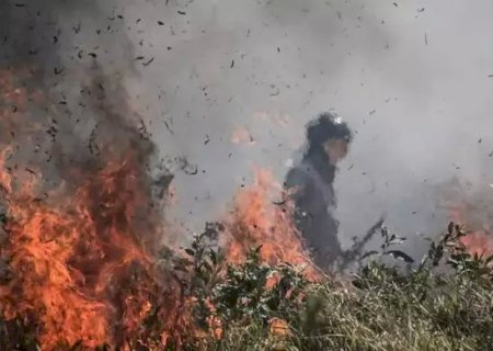 MS registra queda histórica em área queimada e focos de calor no Cerrado e Pantanal em 2025
