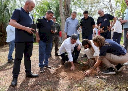 Plantio de árvores marca início da ação de compensação de carbono do Festival de Inverno 2025