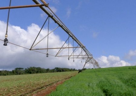 Seguro rural encolhe no Brasil e preocupa especialistas: cobertura caiu quase 50% em 3 anos