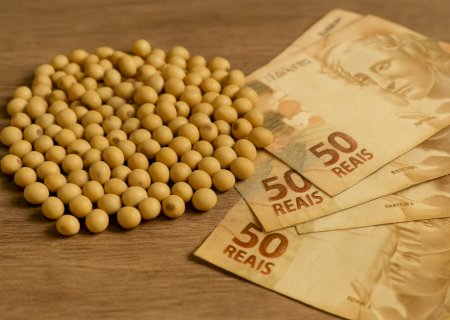 Consultor comenta mercado de soja com safra americana robusta e expectativa por dados do USDA
