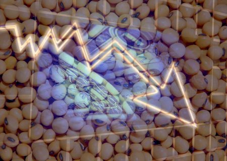 Commodities em queda: instabilidade global ameaça o produtor brasileiro