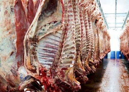 Exportadores de carne bovina veem 'janela' para negociar com os EUA